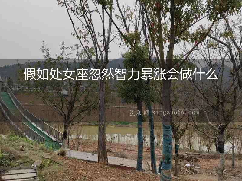 假如處女座忽然智力暴漲會(huì)做什么