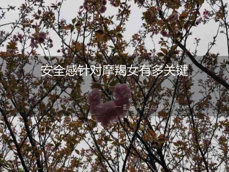 安全感針對(duì)摩羯女有多關(guān)鍵