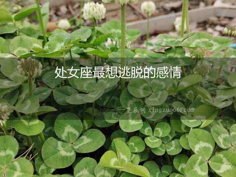 處女座最想逃脫的感情