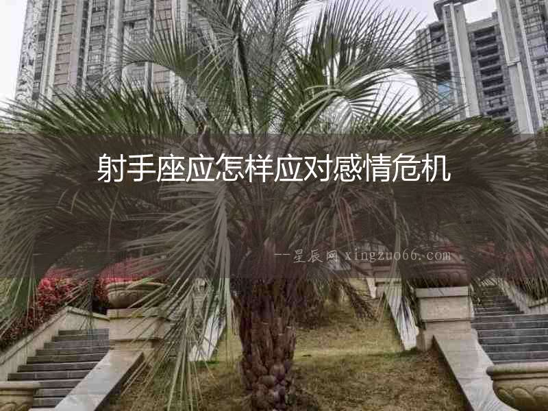 射手座應怎樣應對感情危機