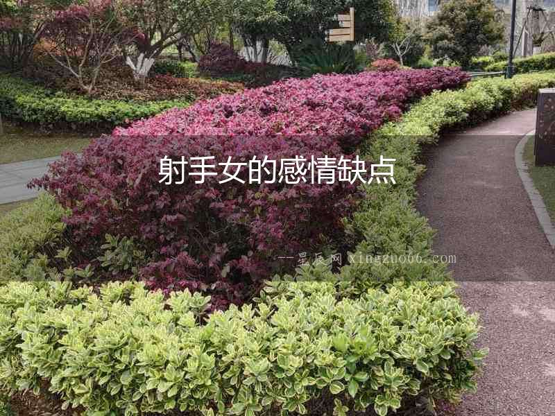 射手女的感情缺點(diǎn)