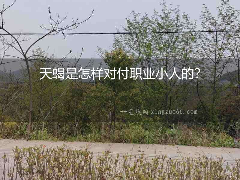 天蝎是怎樣對(duì)付職業(yè)小人的？