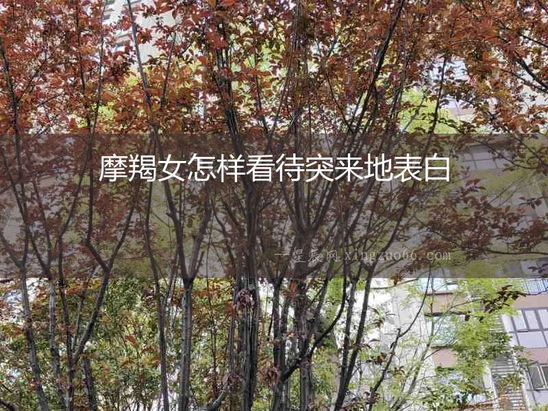摩羯女怎樣看待突來地表白