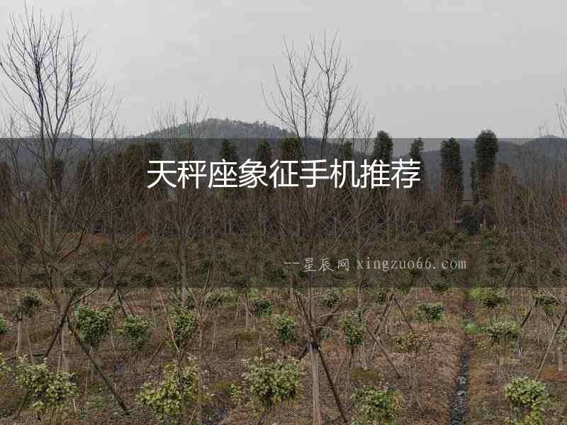 天秤座象征手機(jī)推薦