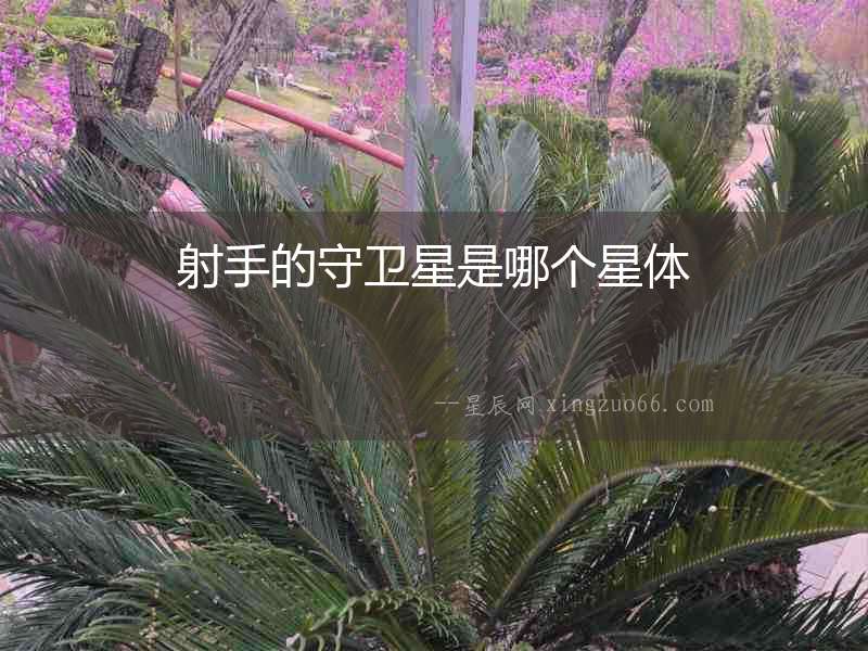 射手的守衛(wèi)星是哪個星體