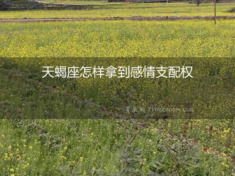 天蝎座怎樣拿到感情支配權