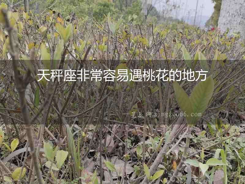 天秤座非常容易遇桃花的地方