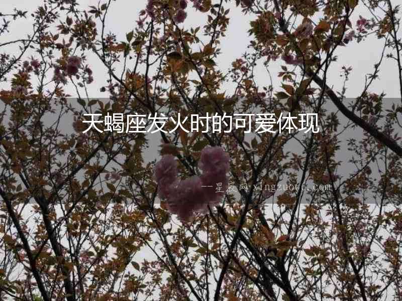 天蝎座發(fā)火時(shí)的可愛(ài)體現(xiàn)