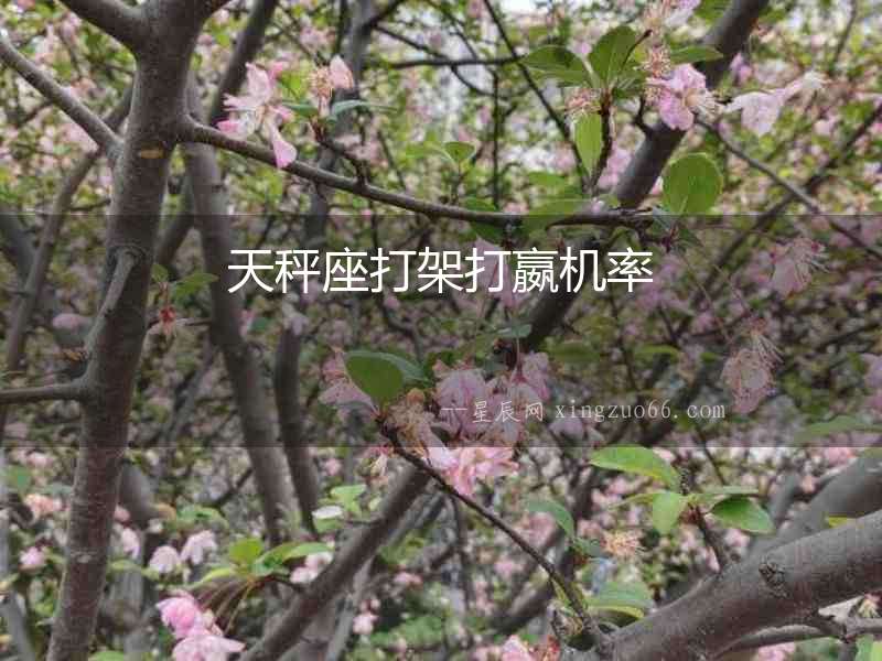 天秤座打架打嬴機(jī)率
