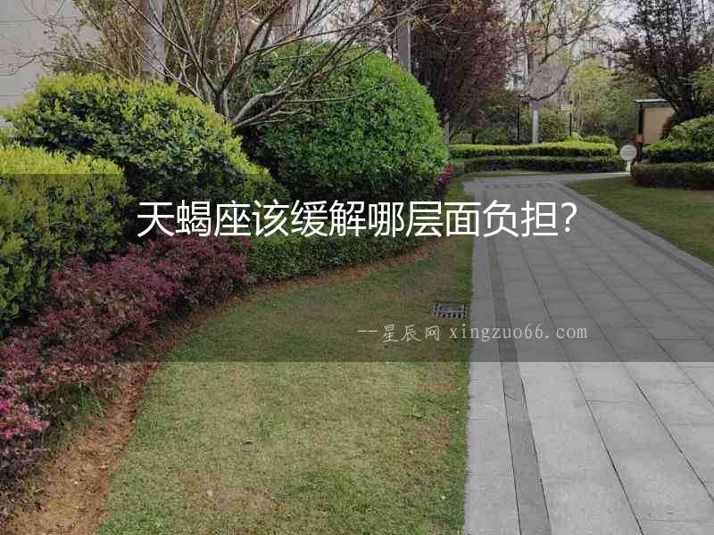 天蝎座該緩解哪層面負擔？