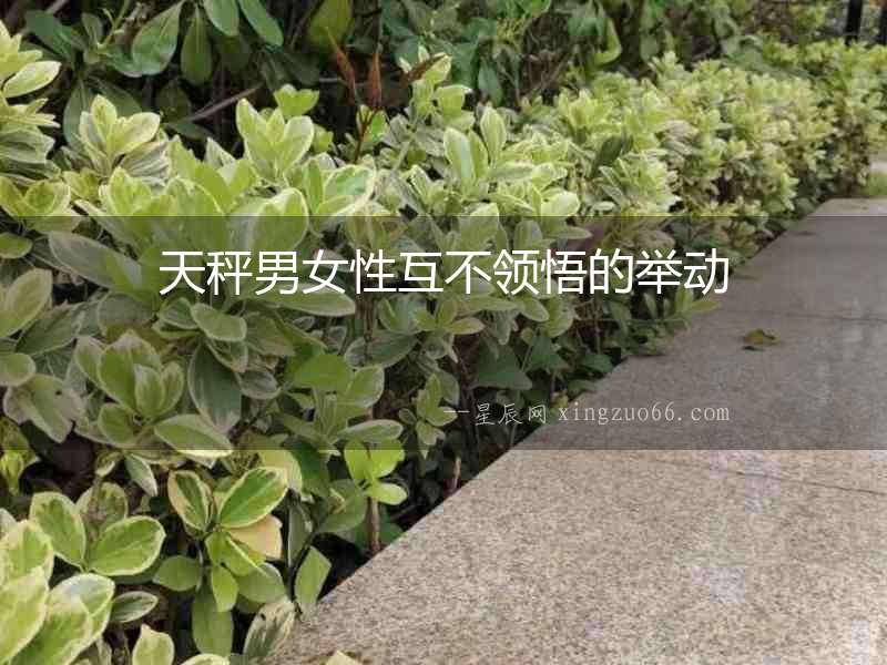 天秤男女性互不領悟的舉動