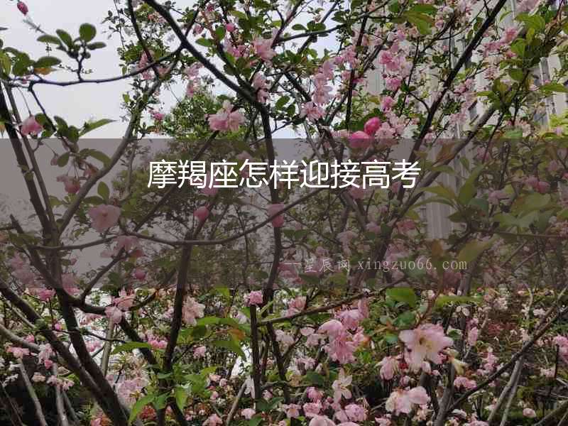 摩羯座怎樣迎接高考