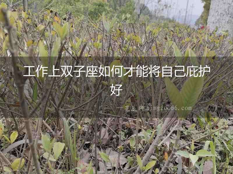 工作上雙子座如何才能將自己庇護(hù)好