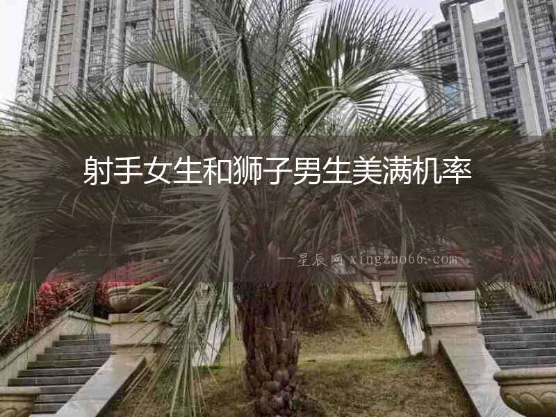 射手女生和獅子男生美滿(mǎn)機(jī)率
