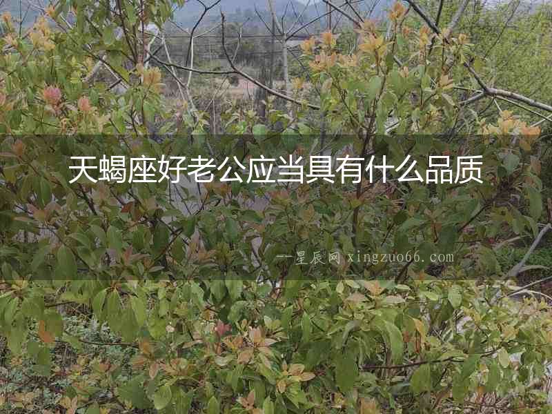 天蝎座好老公應(yīng)當(dāng)具有什么品質(zhì)