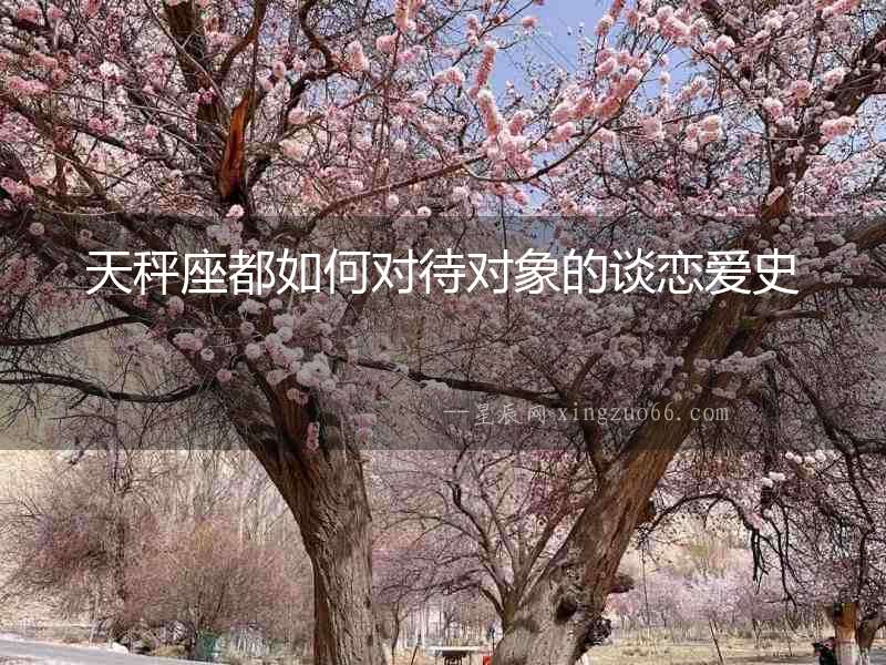 天秤座都如何對(duì)待對(duì)象的談戀愛(ài)史