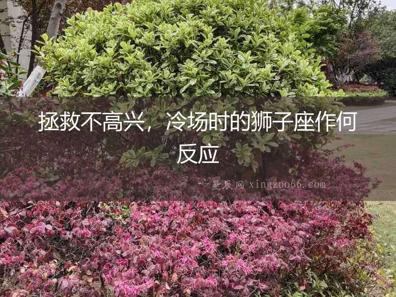 拯救不高興，冷場(chǎng)時(shí)的獅子座作何反應(yīng)