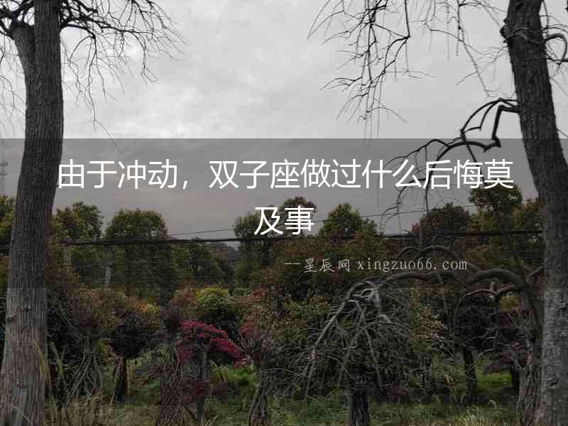 由于沖動，雙子座做過什么后悔莫及事