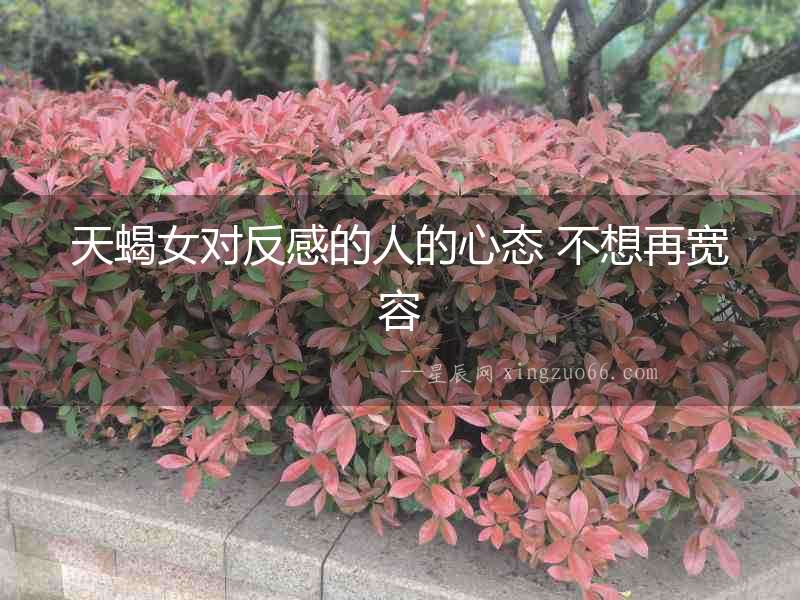 天蝎女對(duì)反感的人的心態(tài) 不想再寬容