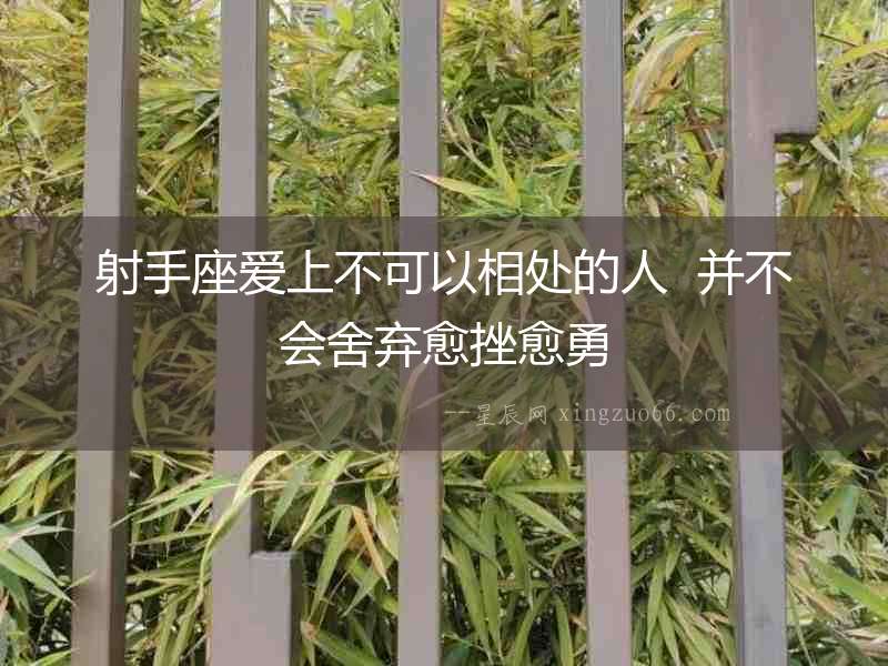 射手座愛(ài)上不可以相處的人  并不會(huì)舍棄愈挫愈勇