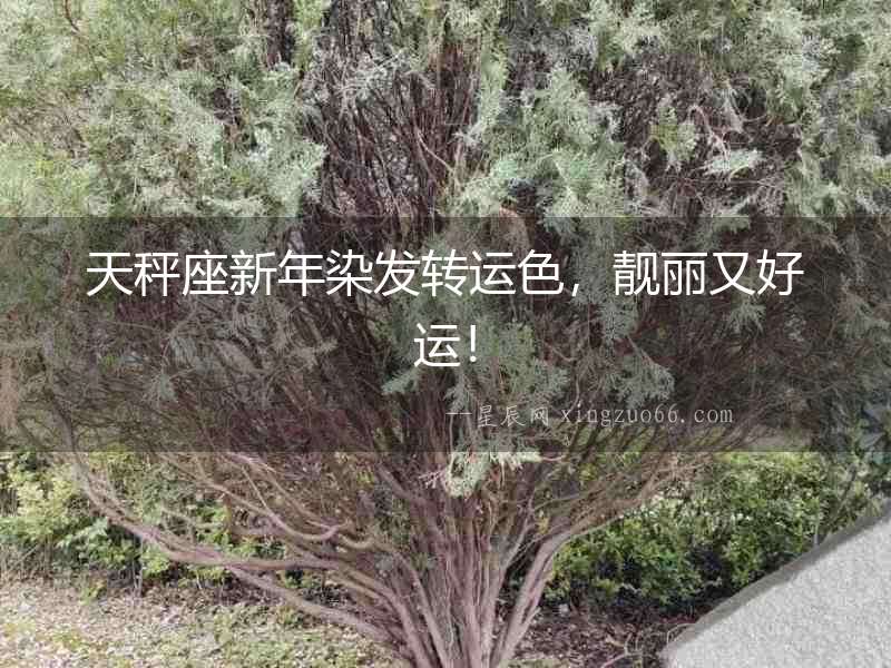 天秤座新年染發轉運色，靚麗又好運！