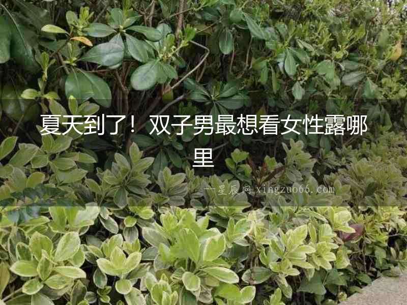 夏天到了！雙子男最想看女性露哪里