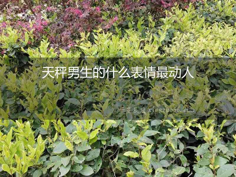 天秤男生的什么表情最動人