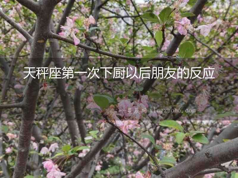 天秤座第一次下廚以后朋友的反應