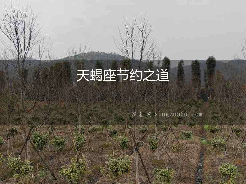 天蝎座節(jié)約之道