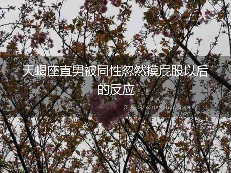 天蝎座直男被同性忽然摸屁股以后的反應