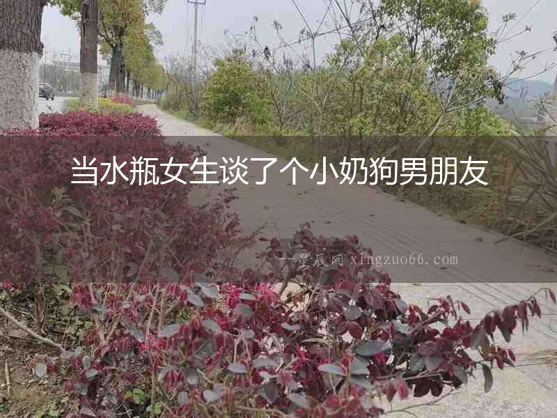 當(dāng)水瓶女生談了個小奶狗男朋友