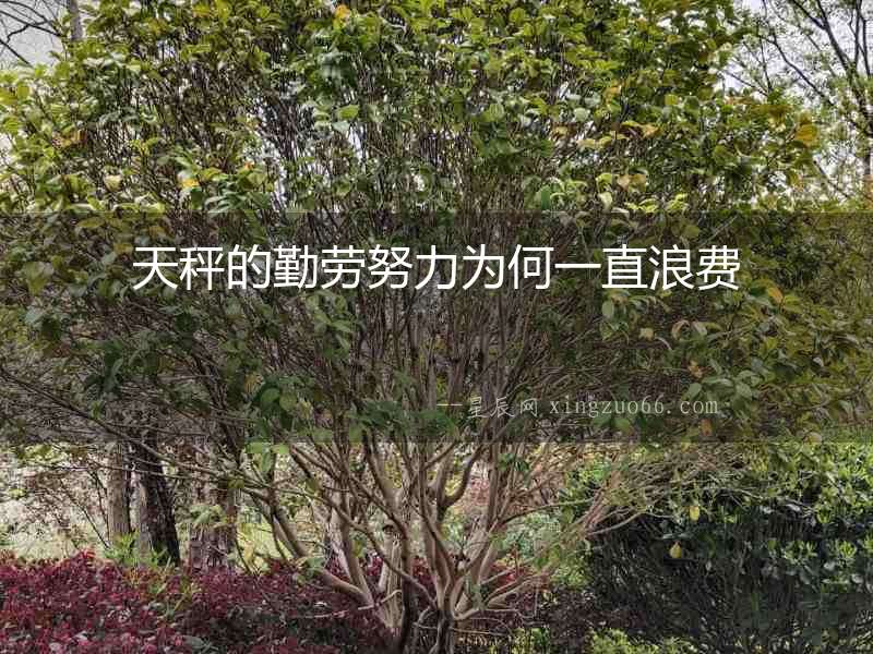天秤的勤勞努力為何一直浪費