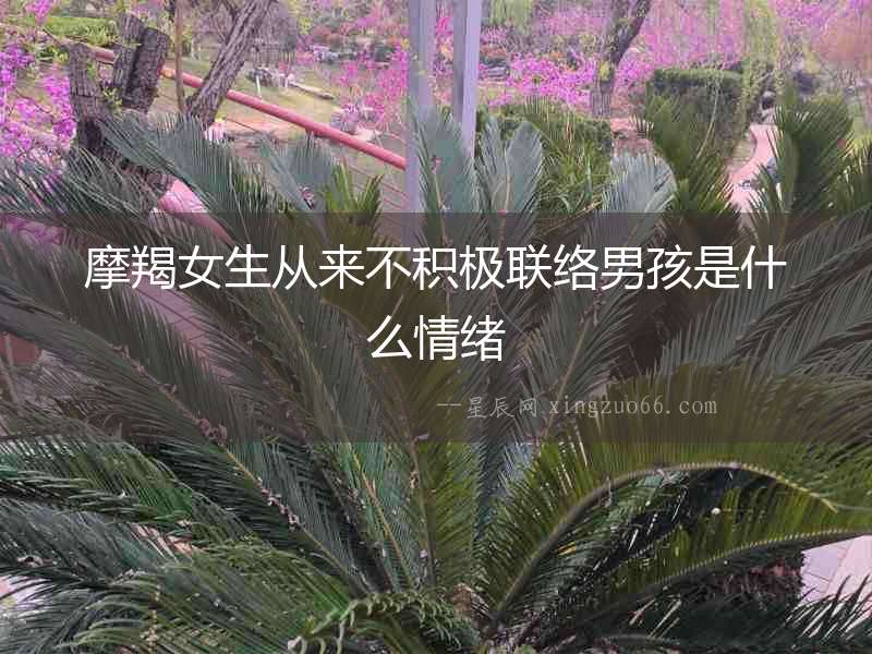摩羯女生從來不積極聯(lián)絡男孩是什么情緒