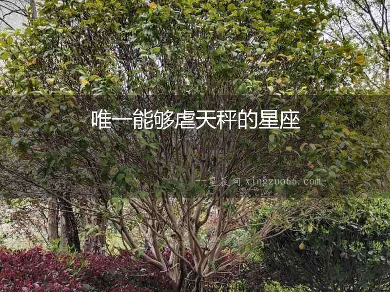 唯一能夠虐天秤的星座