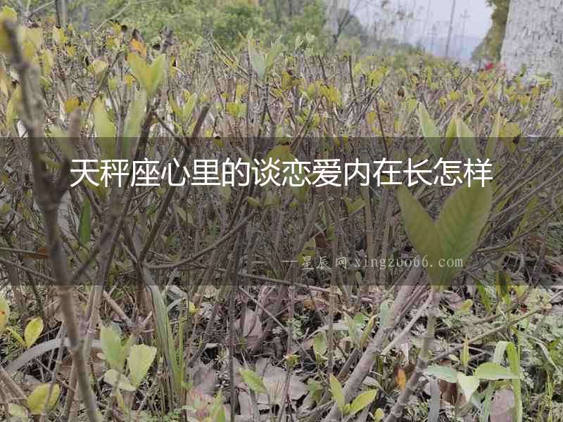 天秤座心里的談戀愛內在長怎樣
