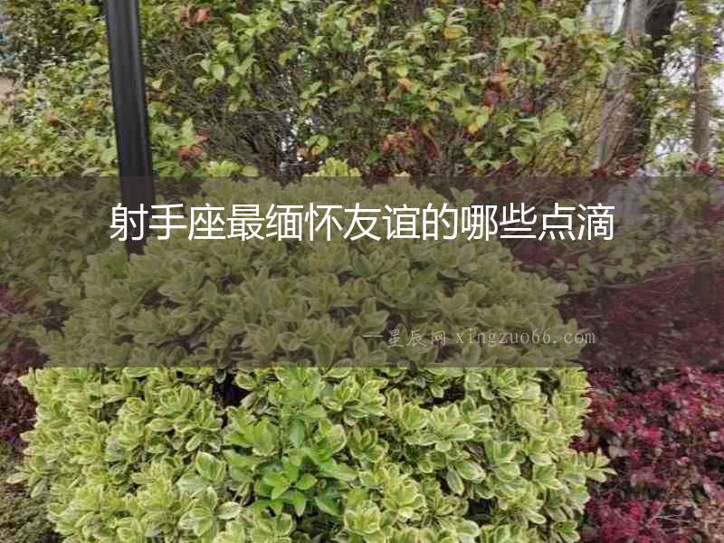 射手座最緬懷友誼的哪些點滴