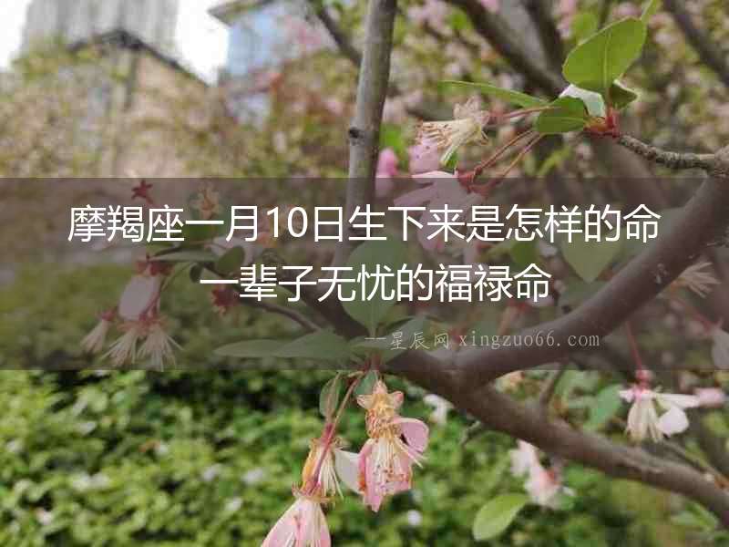 摩羯座一月10日生下來是怎樣的命  一輩子無憂的福祿命