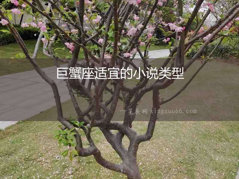 巨蟹座適宜的小說(shuō)類型