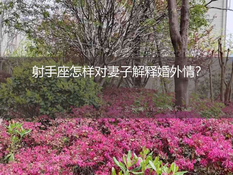 射手座怎樣對妻子解釋婚外情？