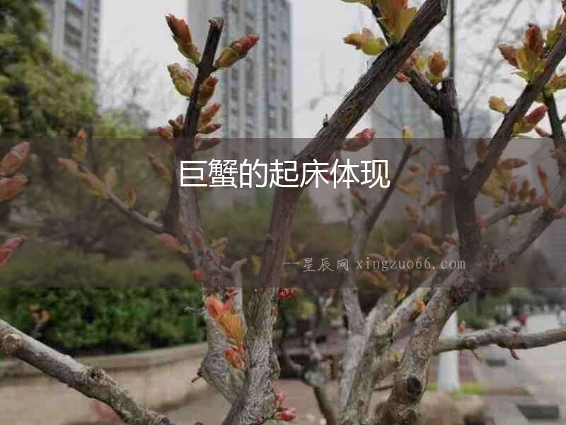 巨蟹的起床體現(xiàn)