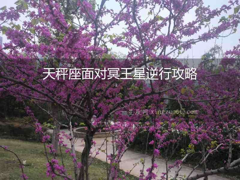 天秤座面對冥王星逆行攻略