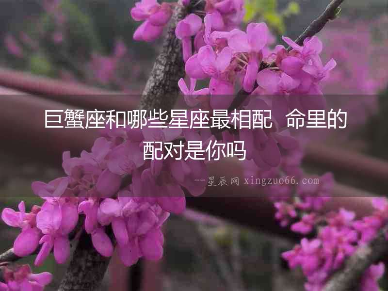 巨蟹座和哪些星座最相配  命里的配對是你嗎