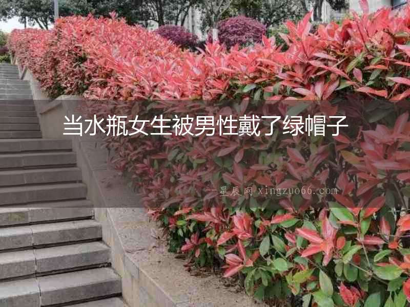 當(dāng)水瓶女生被男性戴了綠帽子