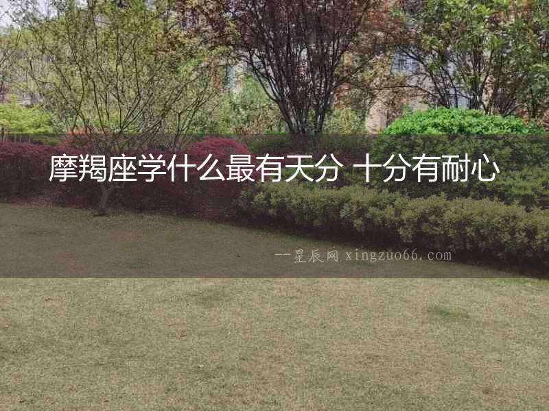 摩羯座學什么最有天分 十分有耐心