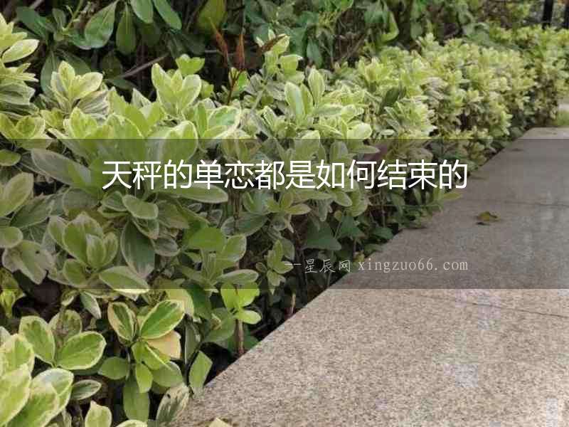 天秤的單戀都是如何結束的
