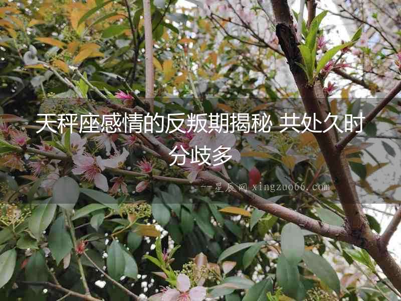 天秤座感情的反叛期揭秘 共處久時分歧多