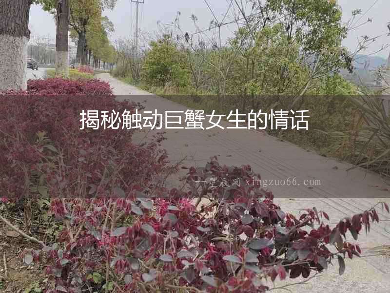 揭秘觸動(dòng)巨蟹女生的情話(huà)