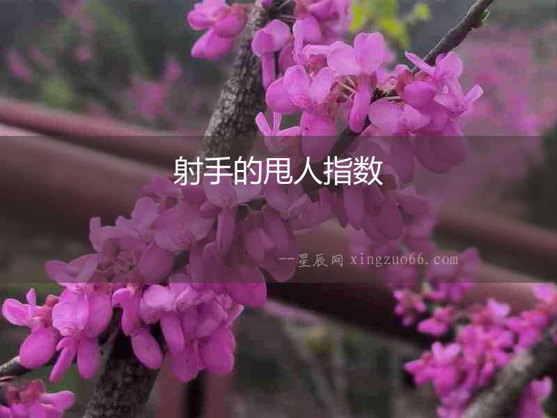 射手的甩人指數(shù)