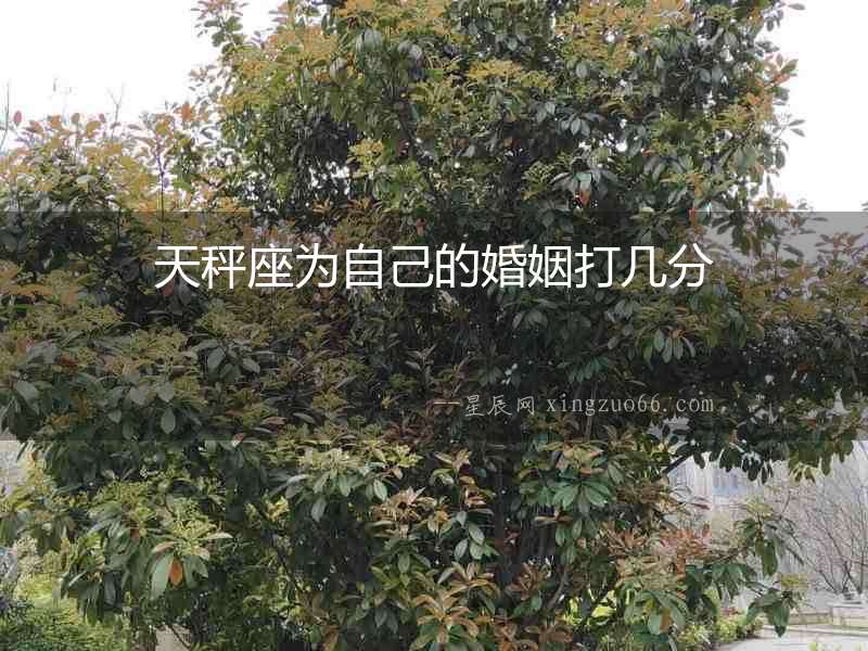 天秤座為自己的婚姻打幾分