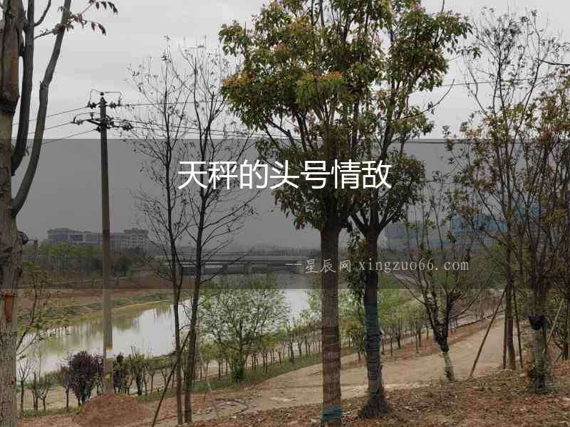 天秤的頭號情敵
